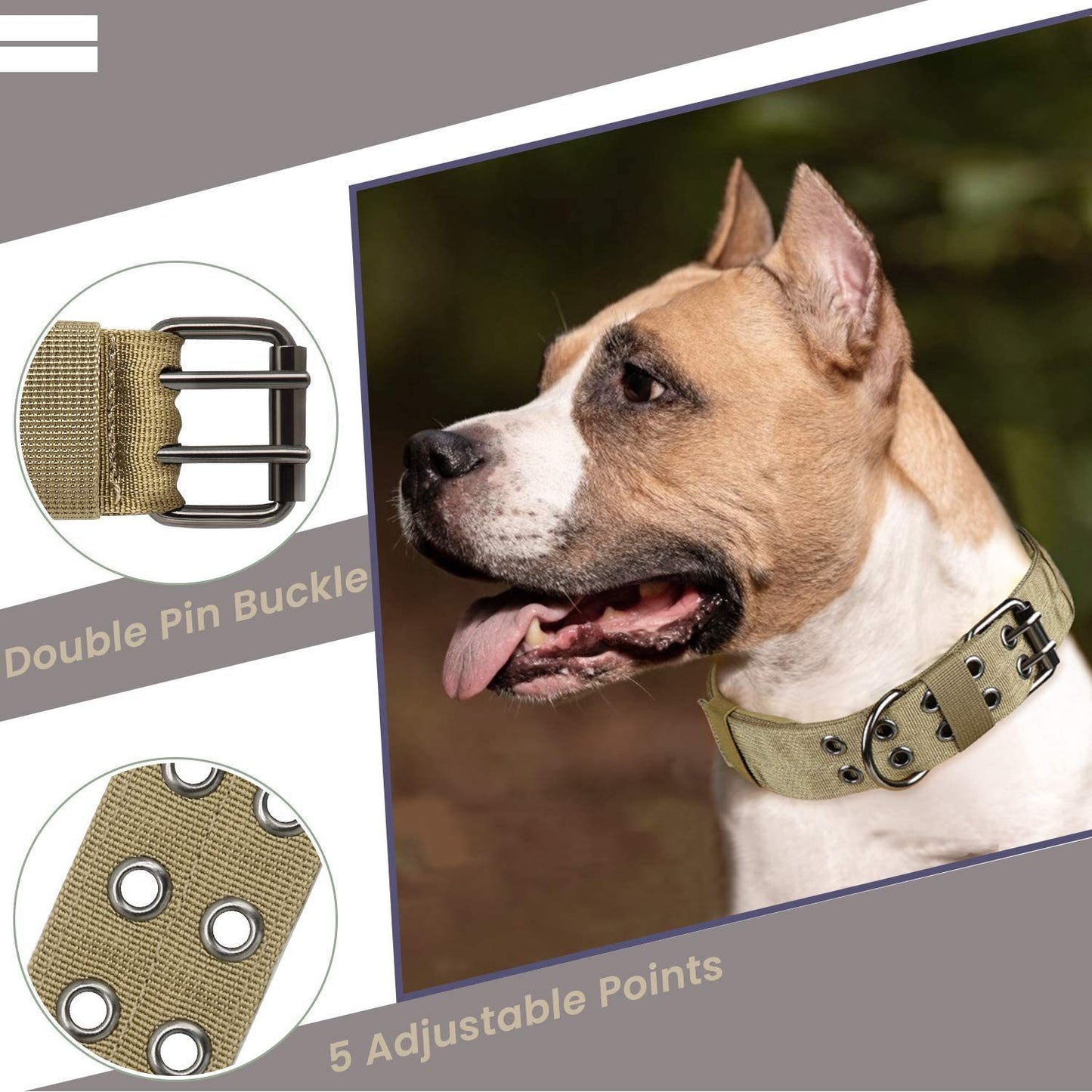 Medium Large Dog Collar Outdoor Tactics Nylon Collar